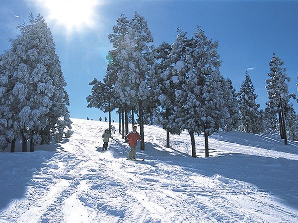■●夜発日帰り 上越国際スキー場1